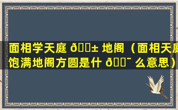 面相学天庭 🐱 地阁（面相天庭饱满地阁方圆是什 🐯 么意思）